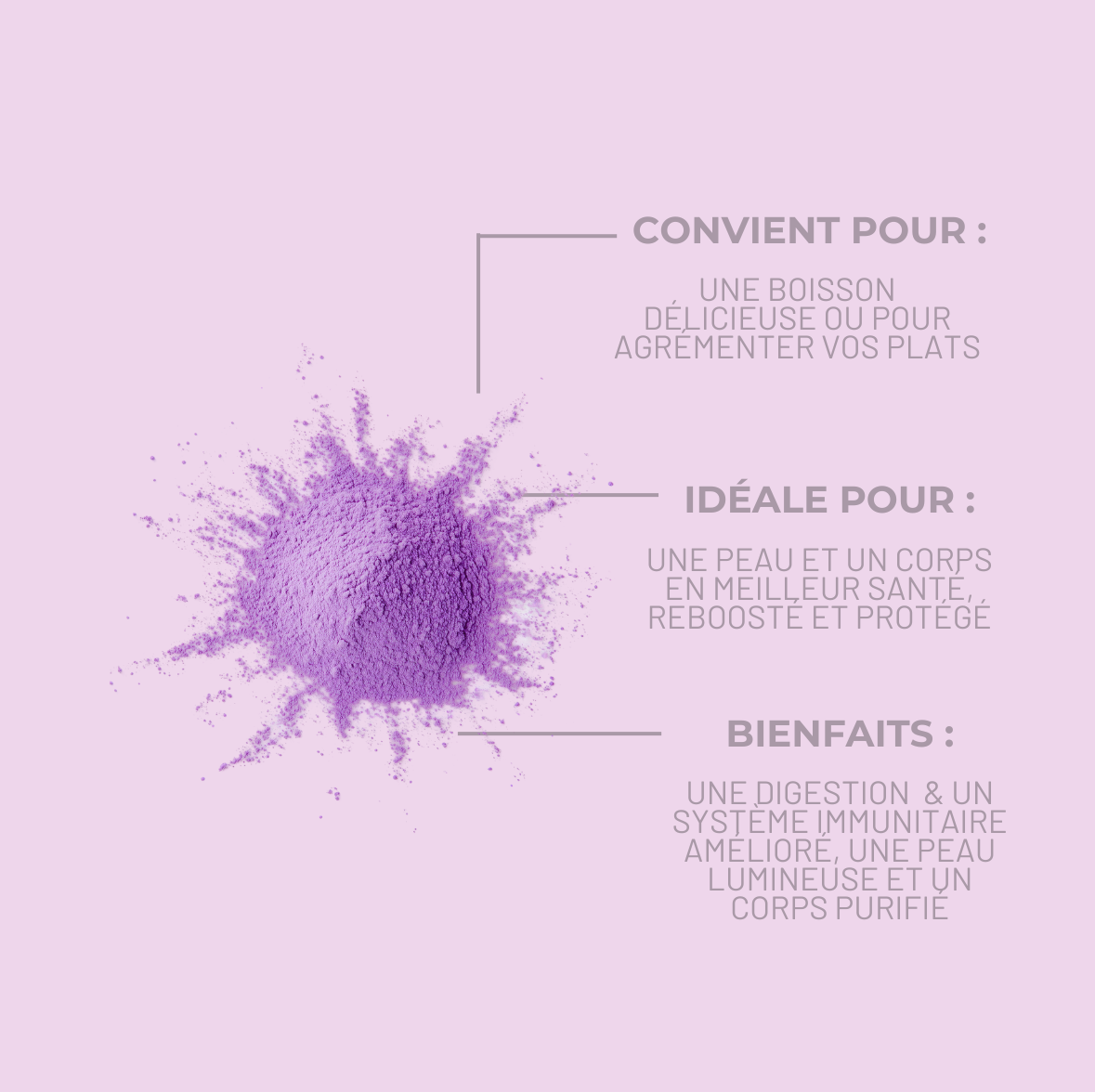 UBE EN POUDRE