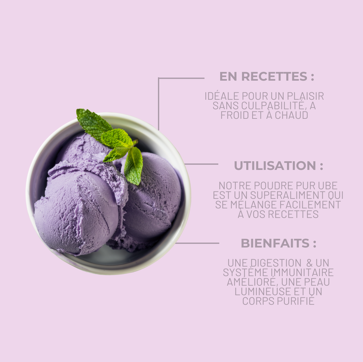 UBE EN POUDRE